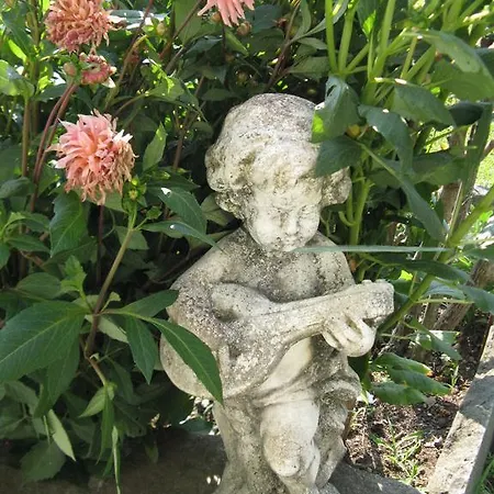 Affittacamere Del 4*